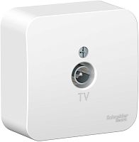 Розетка TV Коннектор накладная Systeme Electric Blanca 1-м. белый картинка